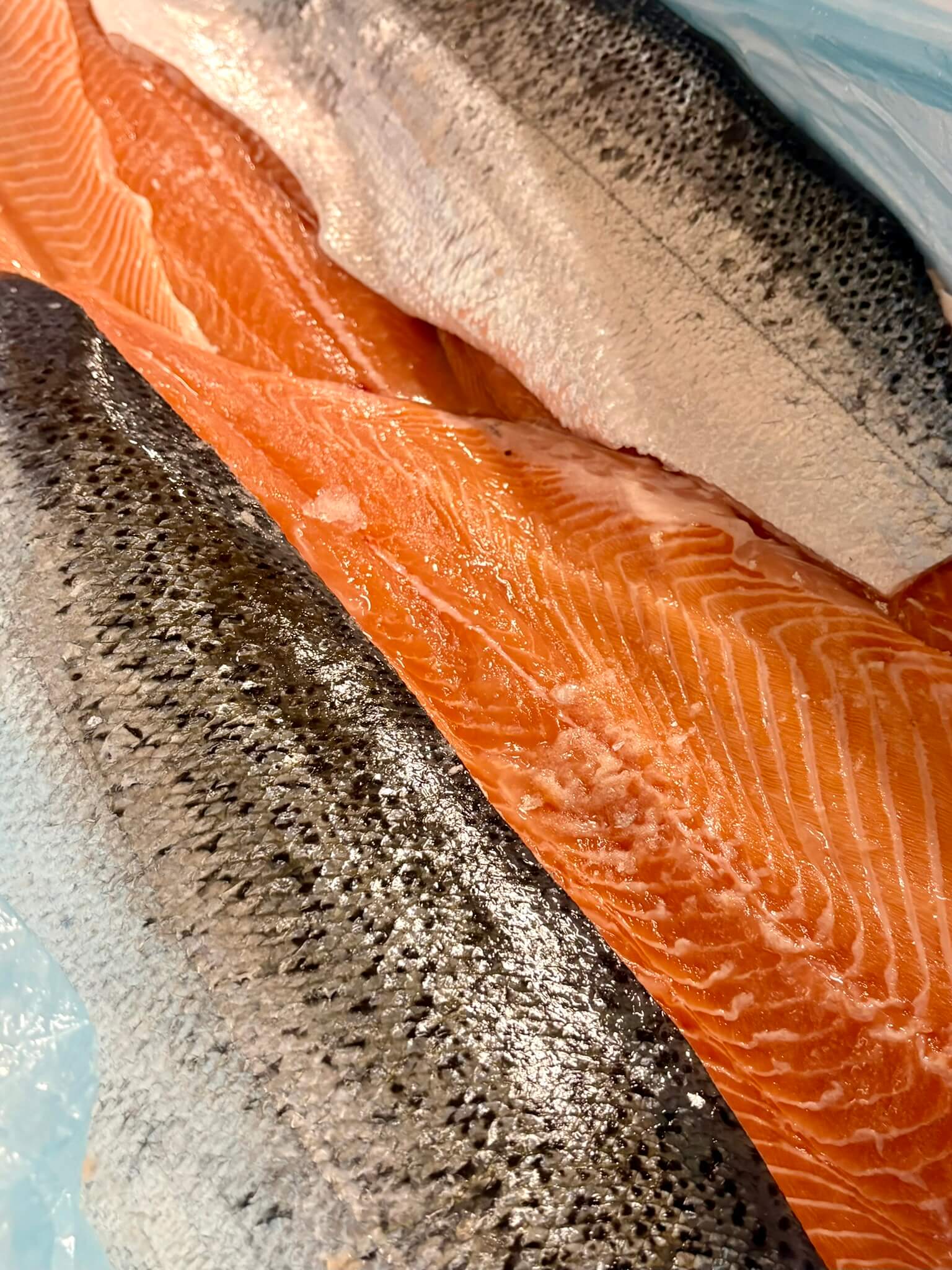Réception des filets de saumon frais, Simon Dutriaux
