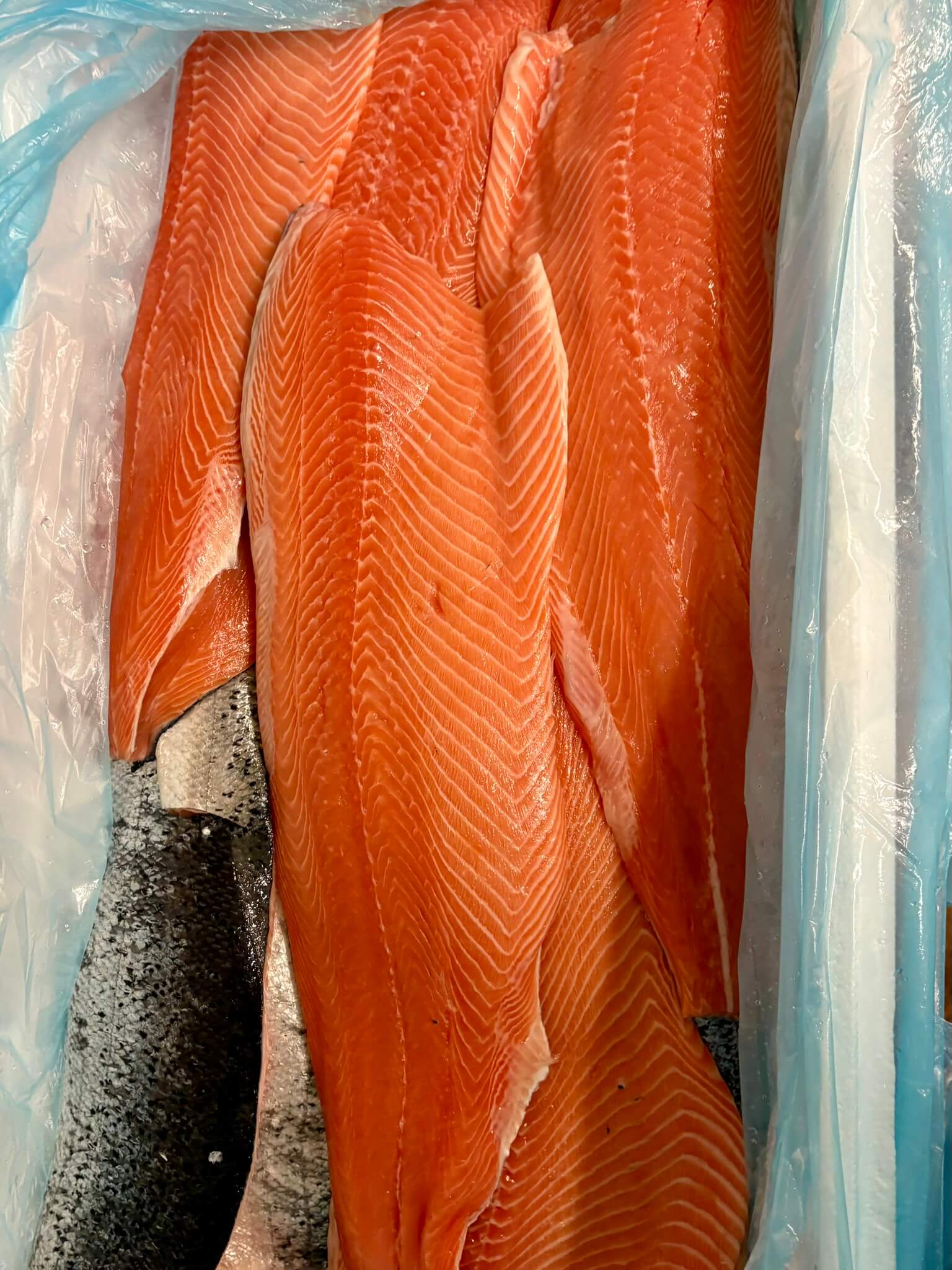 Filets de saumon frais, matière première Simon Dutriaux