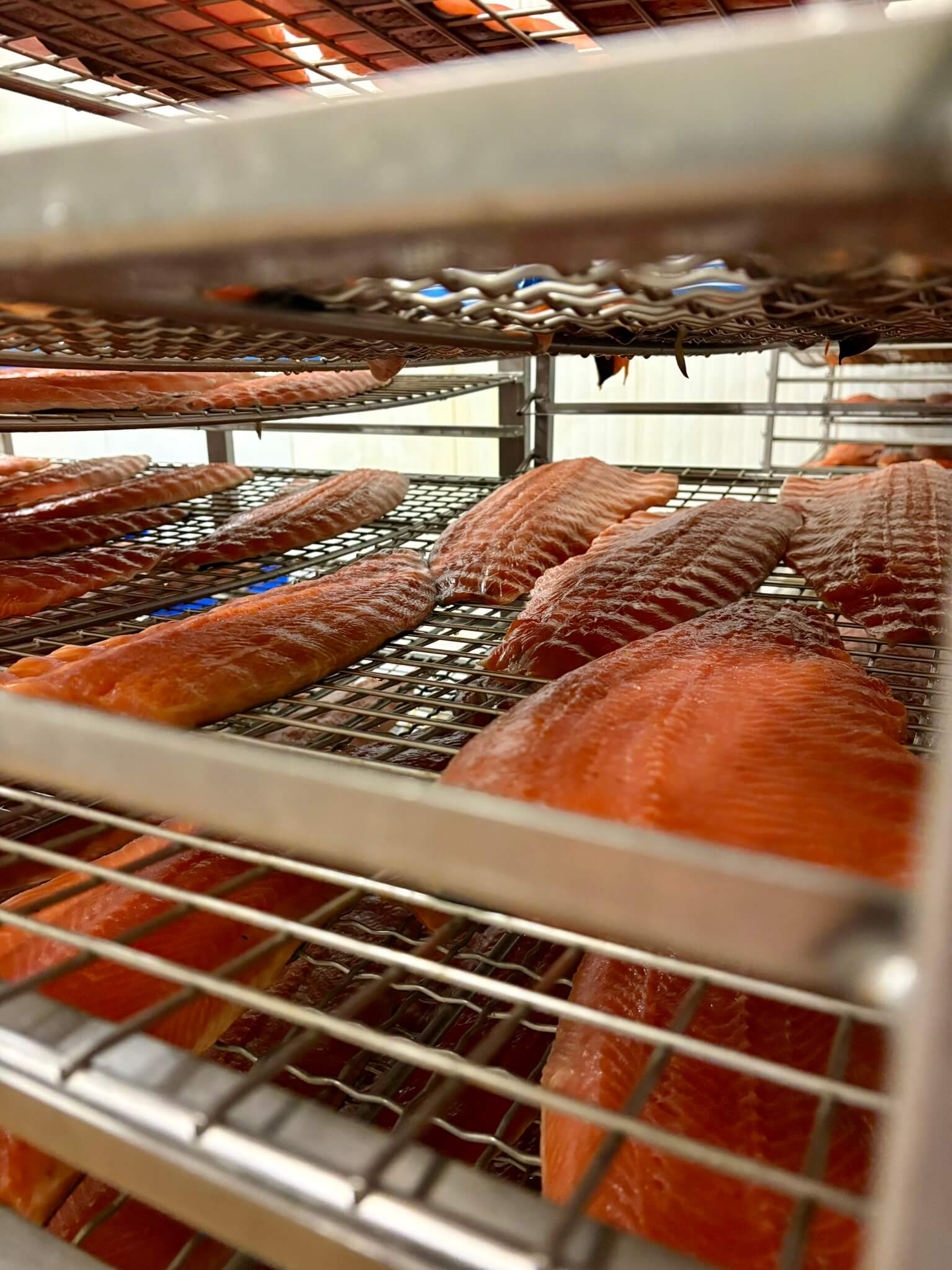 Filets de saumon fumé sur claies, atelier Simon Dutriaux