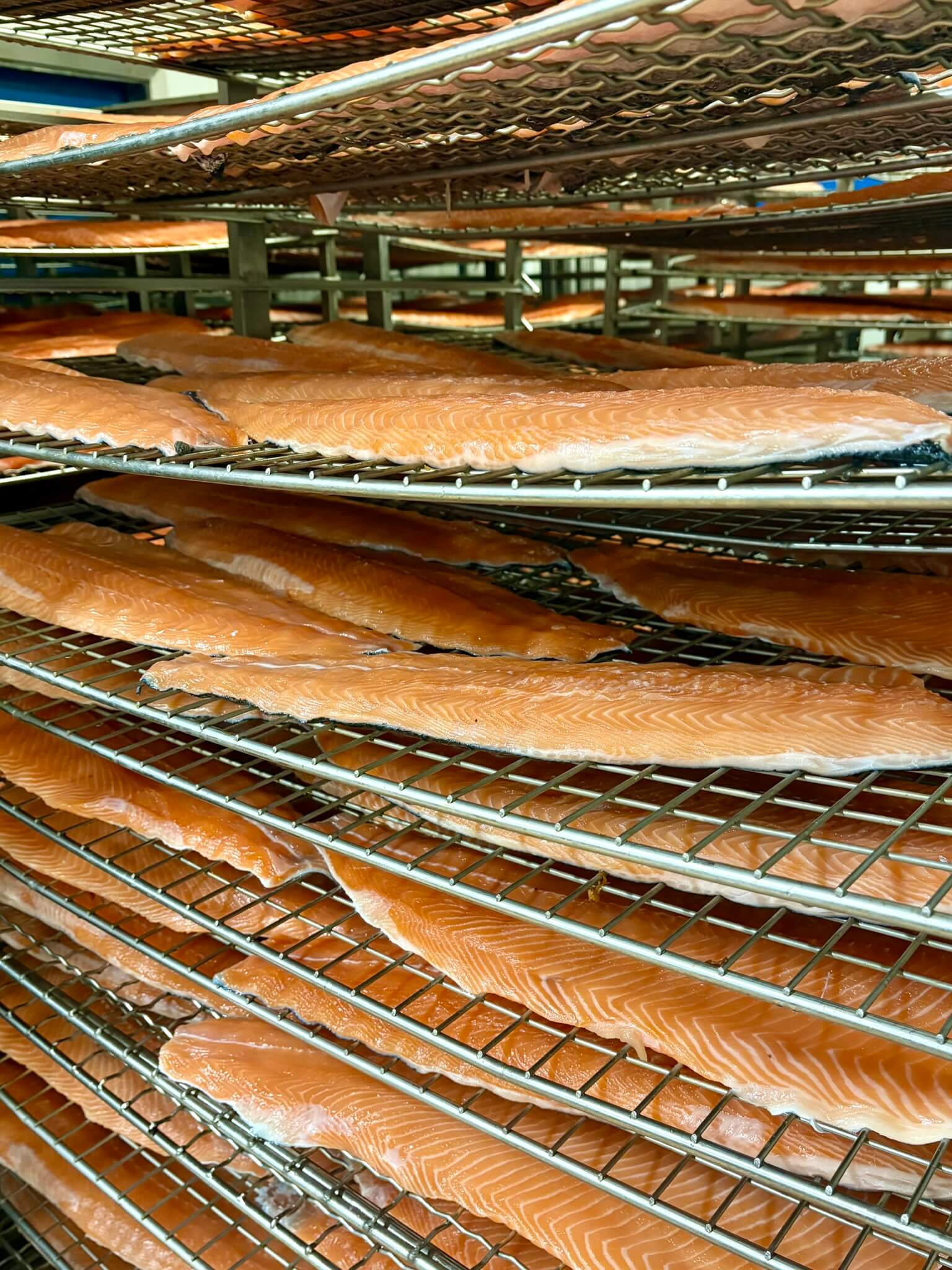 Filets de saumon au repos sur grilles, Simon Dutriaux