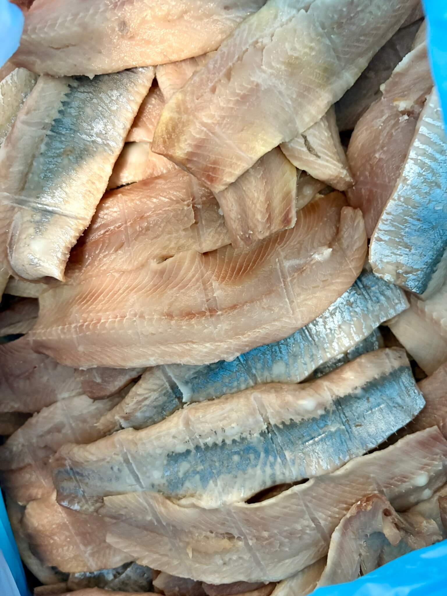 Filets de hareng fumé après fumaison, Simon Dutriaux