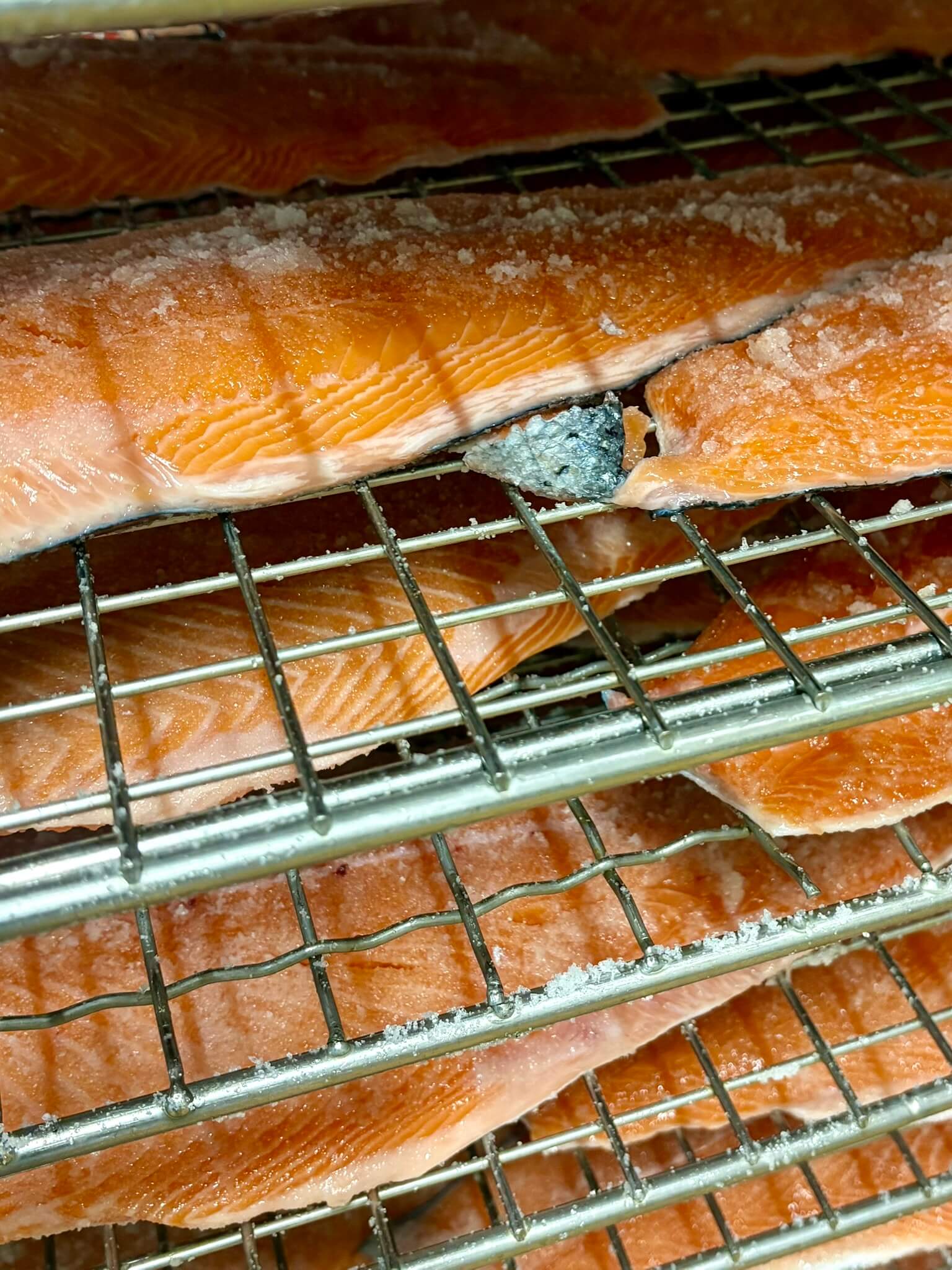 Filets de saumon au repos dans le sel, Simon Dutriaux
